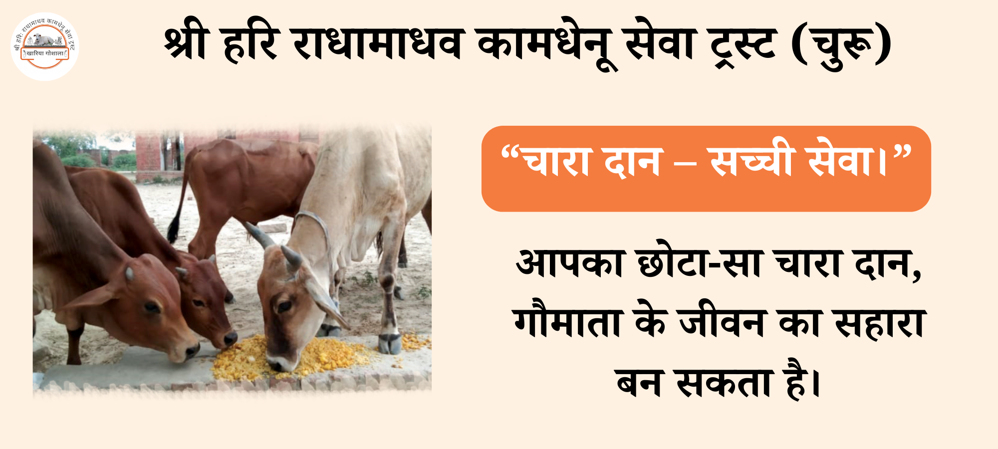 श्री हरि राधामाधव कामधेनू सेवा ट्रस्ट (चुरू) (2)