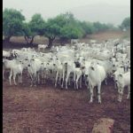 WhatsApp Image 2025-09-11 at 13.44.52