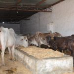 WhatsApp Image 2025-09-11 at 13.44.53 (4)